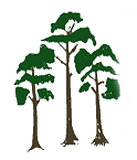Forests FORESTS