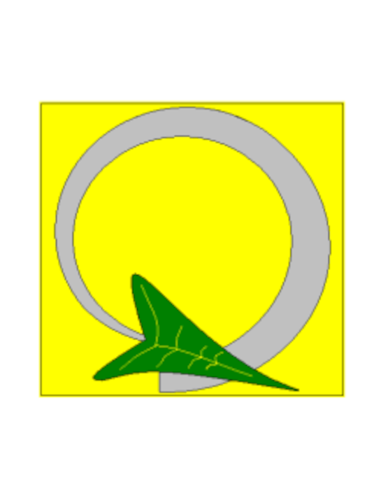 BSV
